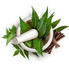 Neem: Known anti-bacterial ingredient