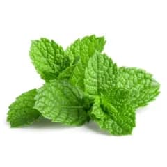 Peppermint Oil: Has soothing and cooling properties 