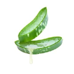 Mylo care natural intimate wash 100 ml aloe vera extract