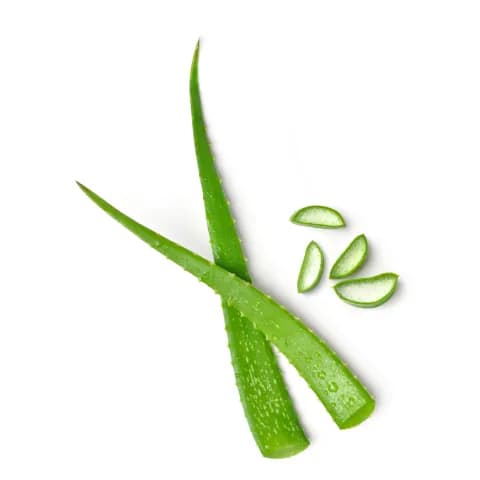 Aloe Vera: Hydrates dry skin & reduces itching
