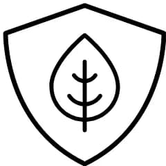 Safe & Effective formulation