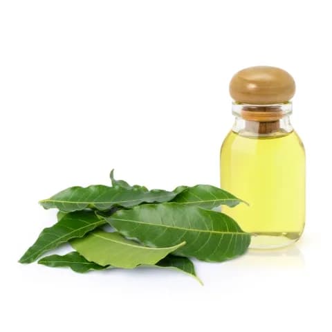 Neem Oil reduces pain and swelling in joints