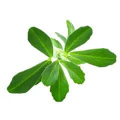 Methi – Prevents scalp irritation & acne