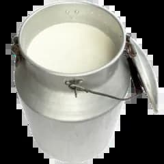 Goat Milk Moisturize your skin and make it soft and supple with the natural goodness of milk 