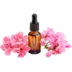 Geranium Oil Helps to reduce wrinkles tightens facial skin and reduces aging effects