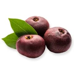 Kokum Butter Restores skin moisture and makes it softer and supple without clogging the pores