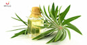 Images related to Can Tea Tree Oil Help Rejuvenate Your Skin?  
