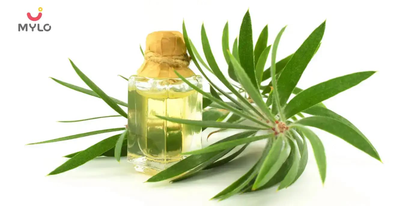 Can Tea Tree Oil Help Rejuvenate Your Skin?