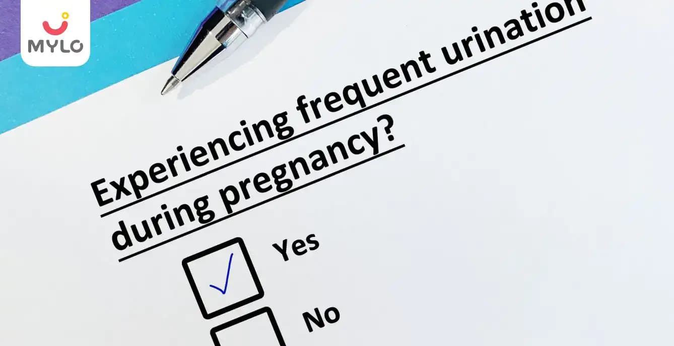Frequent Urine During Pregnancy