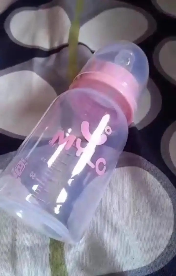 2-in-1 Baby Feeding Bottle | BPA Free with Anti-Colic Nipple & Spoon | Easy Flow Neck Design - Lion & Giraffe 125ml & 250ml