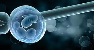 In Vitro Fertilization (IVF) With PGD (Preimplantation Genetic Diagnosis): Is it really helpful in starting a family?