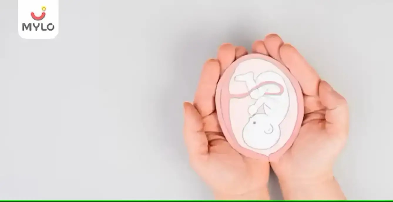 நஞ்சுக்கொடி என்றால் என்ன மற்றும் அது எவ்வாறு செயல்படுகிறது?