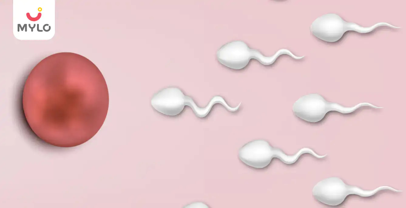 Conception Facts: Where Does Sperm Go During Pregnancy