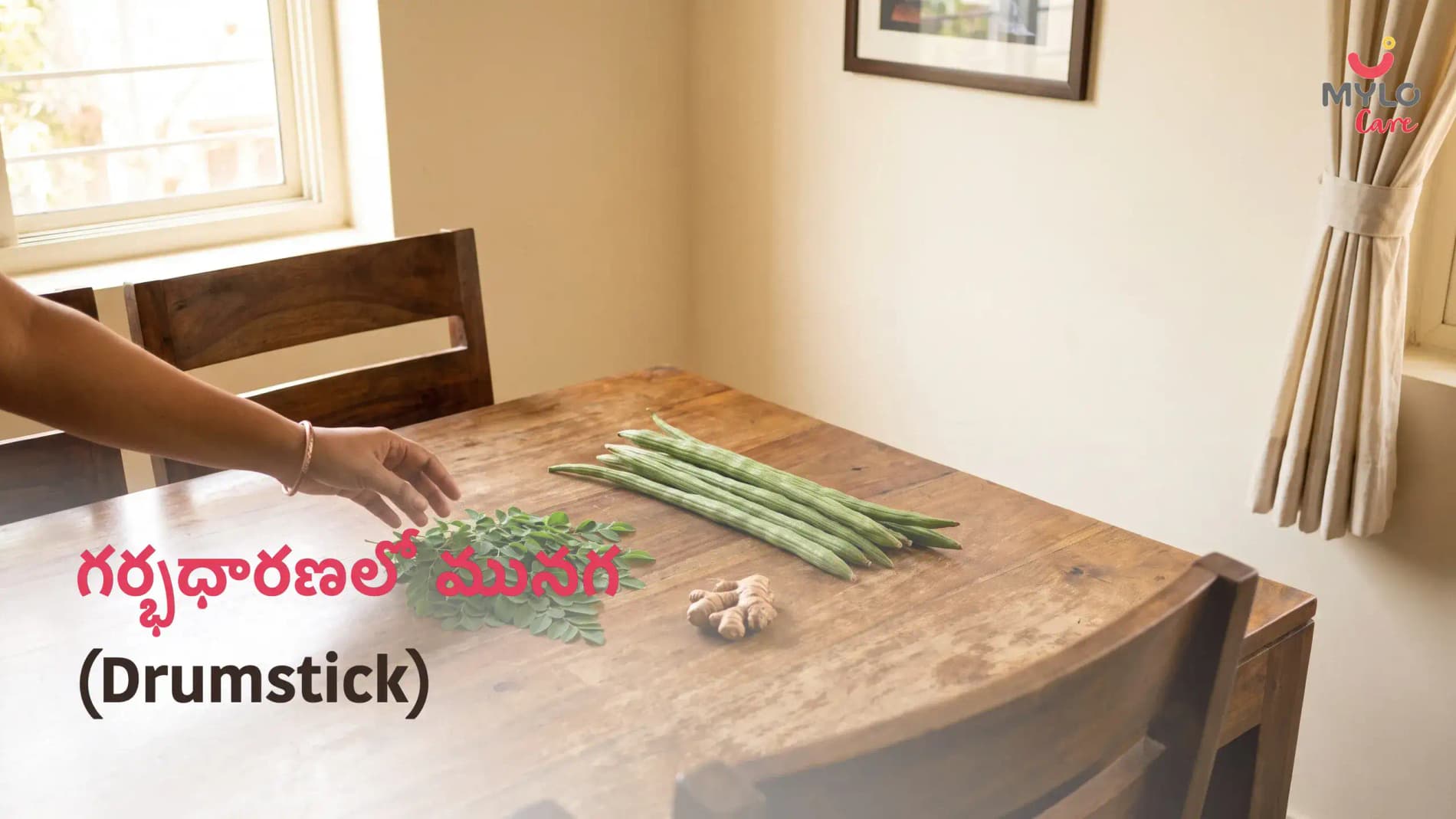 గర్భధారణలో మునగ (Drumstick): కాయలు vs ఆకులు vs వేరు, ఎంత సురక్షితం, 2026 ట్రైమెస్టర్-వారీ గైడ్