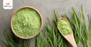 Images related to 5 Unique Ways You Can Use Wheatgrass Powder for Weight Loss & Skincare