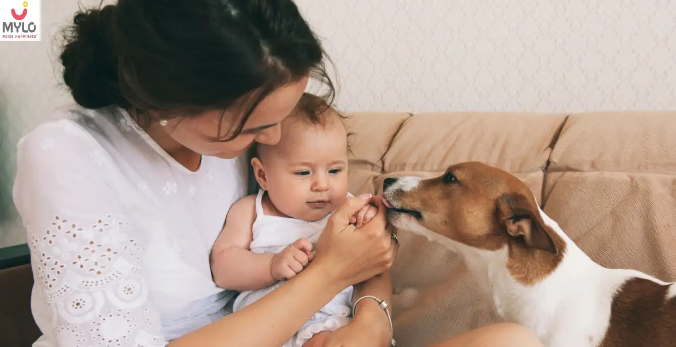 Pets for Baby: Safety, Precautions & More