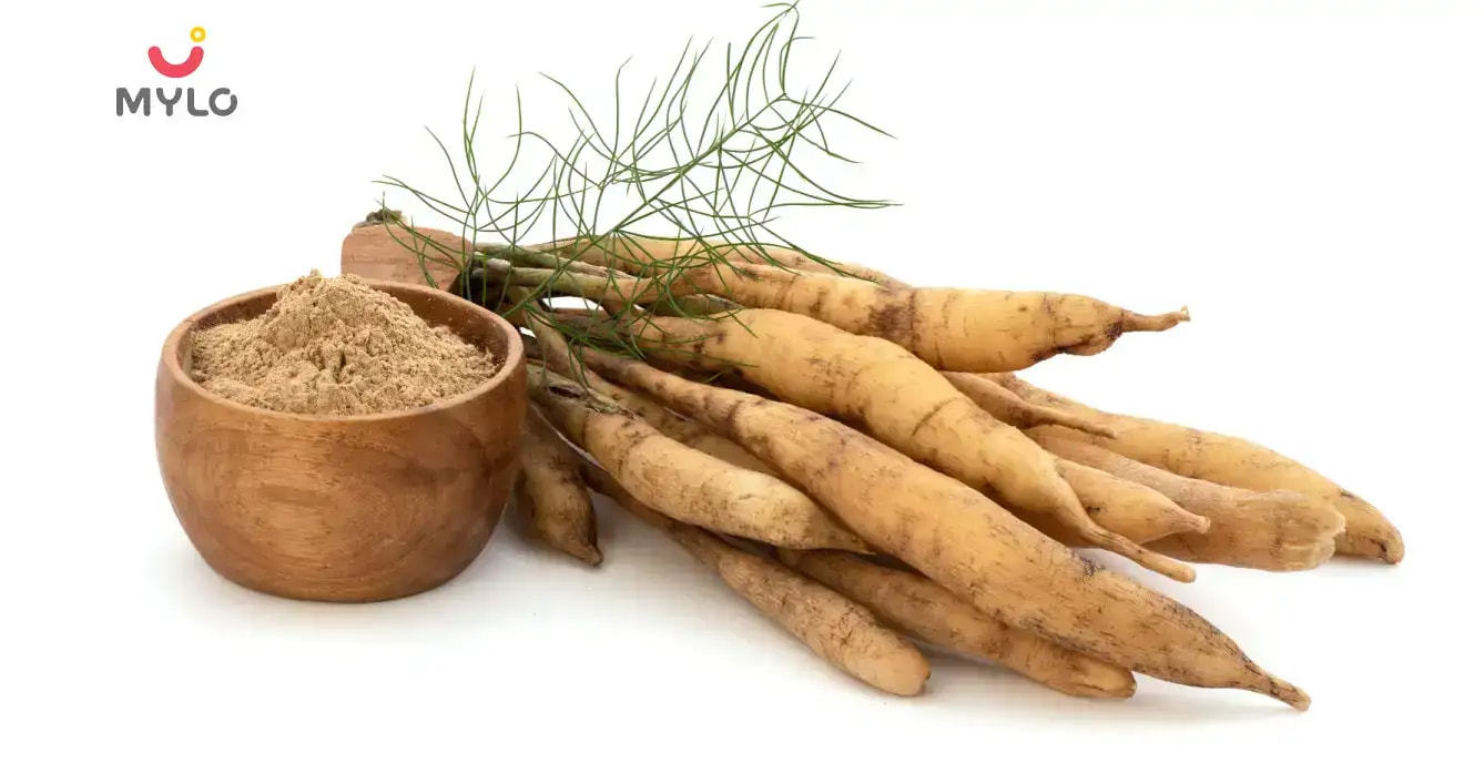 শতবরী পাউডারের উপকারিতা: 7টি কারণ কেন সকল পুরুষ এবং মহিলাদের এটি ব্যবহার করা উচিত (7 Shatavari Powder Benefits in Bengali)