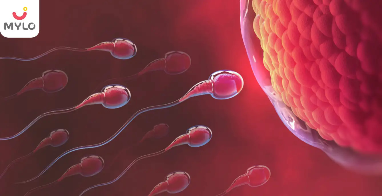 IUI Sperm Count: How Much Sperm is Needed for IUI? 