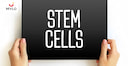 Images related to স্টেম সেল সংরক্ষণের সুবিধাগুলি কী কী?(What Are The Benefits Of Stem Cell Preservation in Bengali)