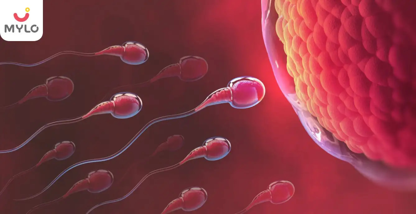 సహజసిద్ధంగా గర్భం దాల్చేందుకు వీర్యాన్ని బలంగా ఎలా తయారు చేయాలి (How to make your Sperm Stronger for Pregnancy Naturally in Telugu)?