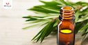 Images related to How Can Tea Tree Oil Help in Dealing With Acne & Hyperpigmentation?