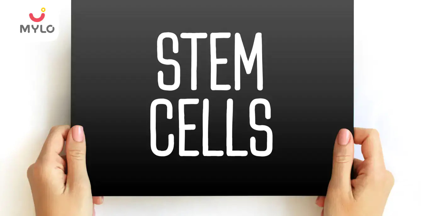 Sources and types of stem cells