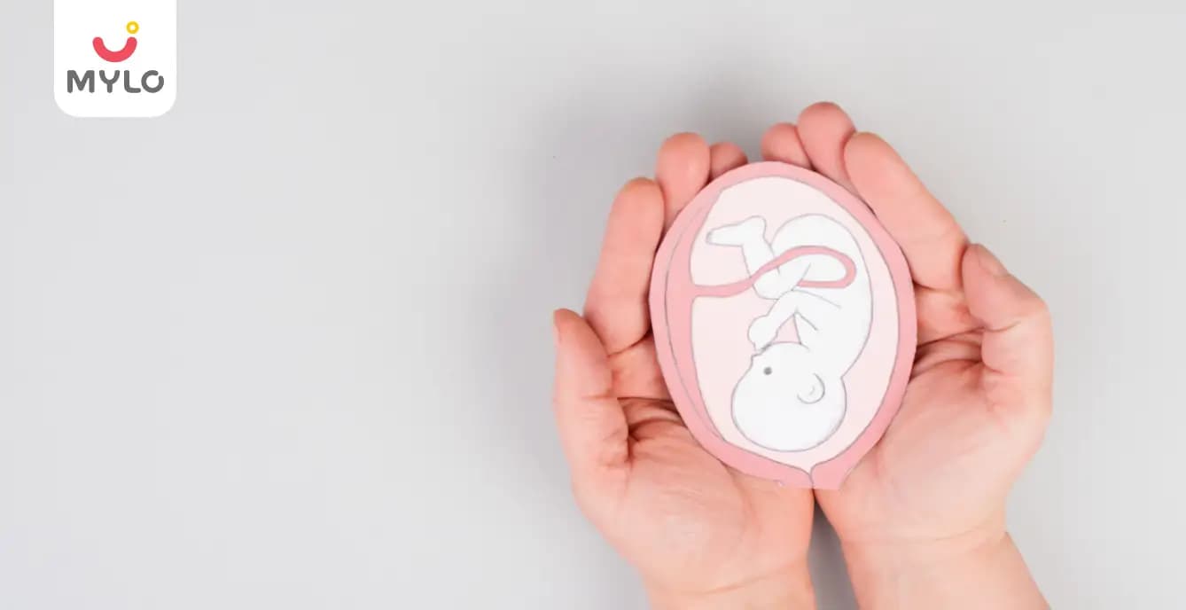 Placenta: What is Placenta and How Does it Work?