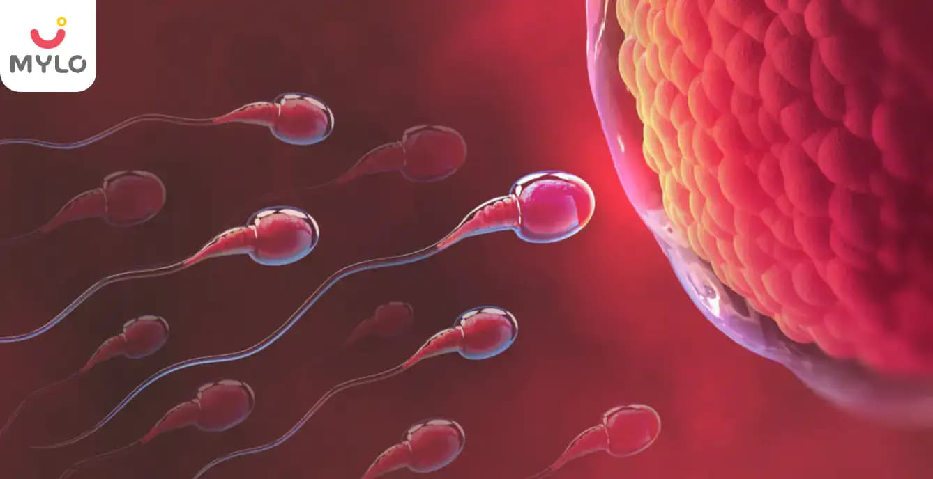 All that you need to know about IUI (Intrauterine Insemination) Treatment for Pregnancy