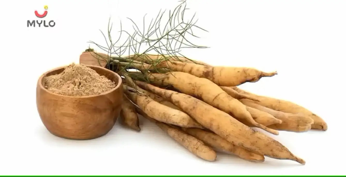 ஷடாவரி தூள்(Shatavari Powder)நன்மைகள்: அனைத்து ஆண்களும் பெண்களும் இதை ஏன் முயற்சி செய்ய வேண்டும் என்பதற்கான 7 காரணங்கள் (Shatavari Powder Benefits: 7 Reasons Why All Men and Women Must Try It In Tamil)