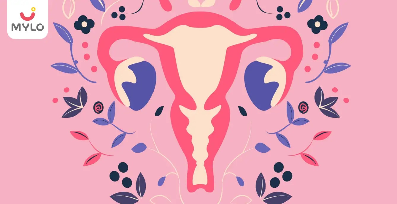 Fat Vagina (Mons Pubis): Average Size, Types, Causes, FUPA Explained and When to See a Doctor (2026)
