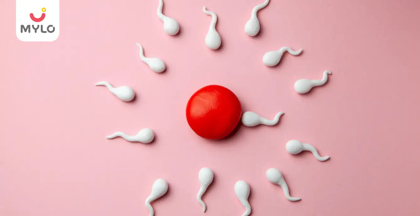 Normal Sperm Count to Get Pregnant: Required Quantity and Tips to Achieve It