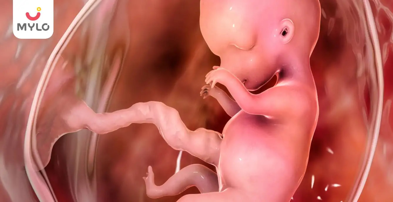 গর্ভাবস্থায় অ্যামনিওটিক ফ্লুইডের মাত্রা স্বাভাবিকভাবে কী করে বাড়াবেন (How to increase amniotic fluid naturally during pregnancy in Bengali)