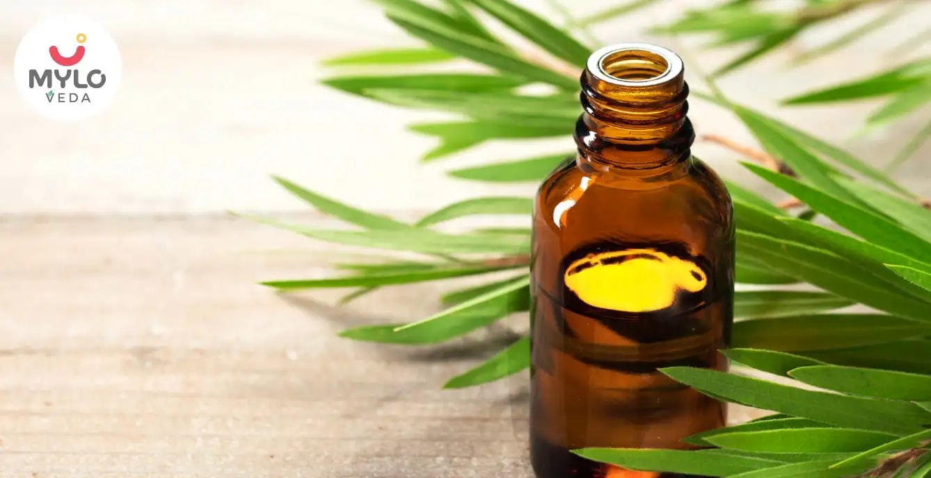 Images related to టీ ట్రీ వలన మీ చర్మానికి కలిగే 5 అద్భుతమైన ప్రయోజనాలు (Five excellent tea tree benefits for your skin in Telegu)