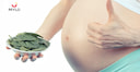 Images related to Spinach During Pregnancy in Hindi | प्रेग्नेंसी में पालक खा सकते हैं?