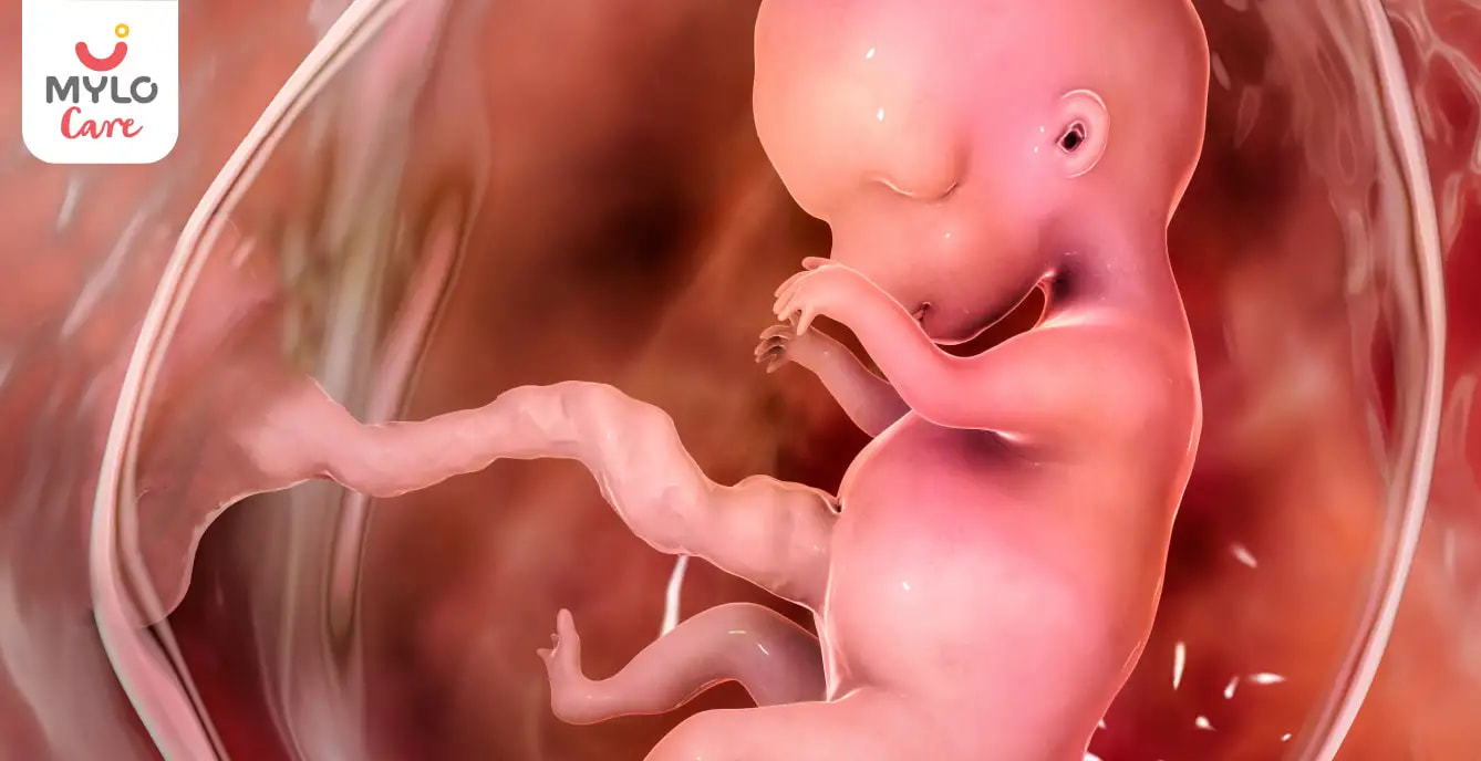 கர்ப்ப காலத்தில் இயற்கையாகவே பனிக்குட நீரை எவ்வாறு அதிகரிப்பது I How to increase amniotic fluid naturally during pregnancy in Tamil