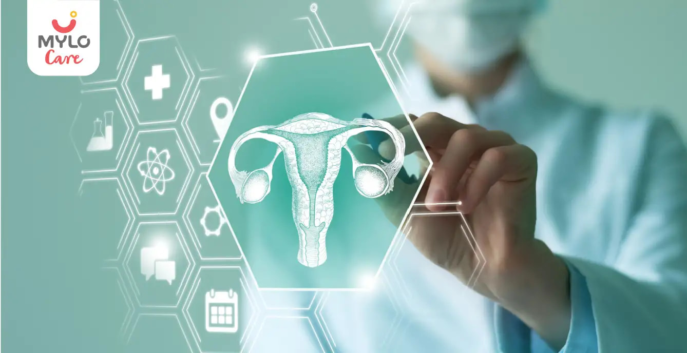 Normal Ovary Size: How It Varies and What It Means for You