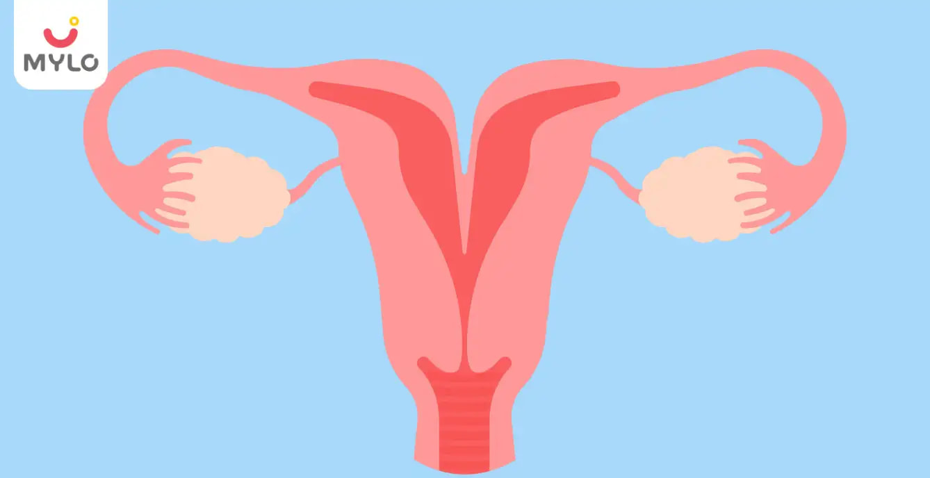 Bicornuate Uterus: A Comprehensive Guide on Causes, Symptoms and Treatment Options
