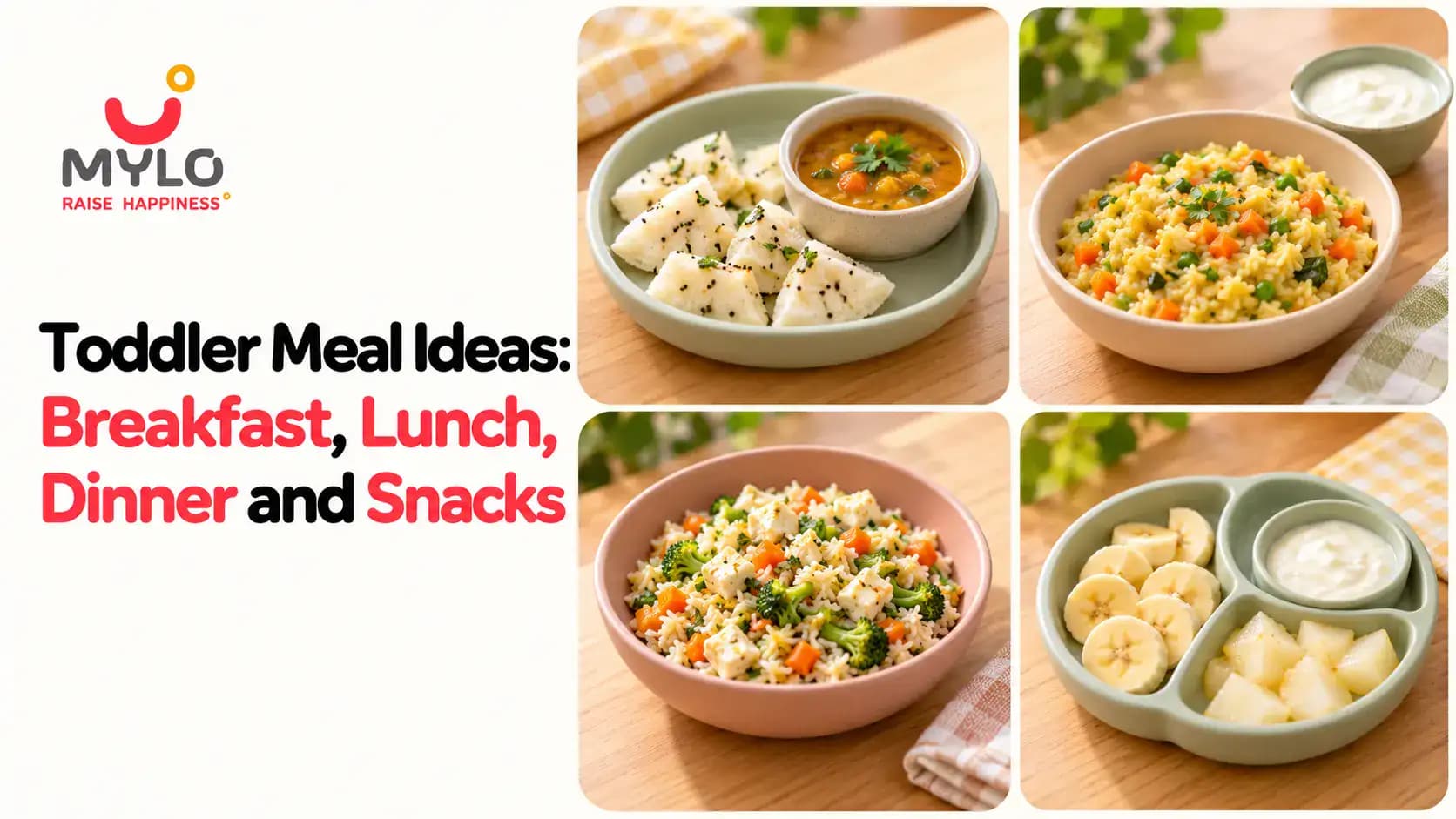 Toddler Meal Ideas: Breakfast, Lunch, Dinner and Snacks