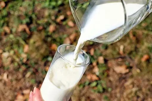 Lactose Intolerance in Infants & Children: Frequently Asked Questions of Most Parents