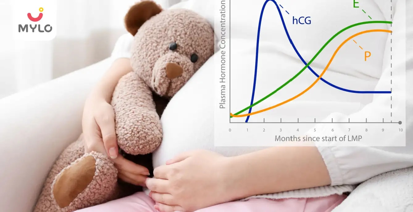 இரத்த பீட்டா ஹெச்சிஜி பரிசோதனை என்றால் என்ன? அதன் அளவுகள் மற்றும் அதை எப்படி தெரிந்து கொள்வது? (Blood Beta Hcg Test: What Is It? Levels? How To Read It In Tamil)