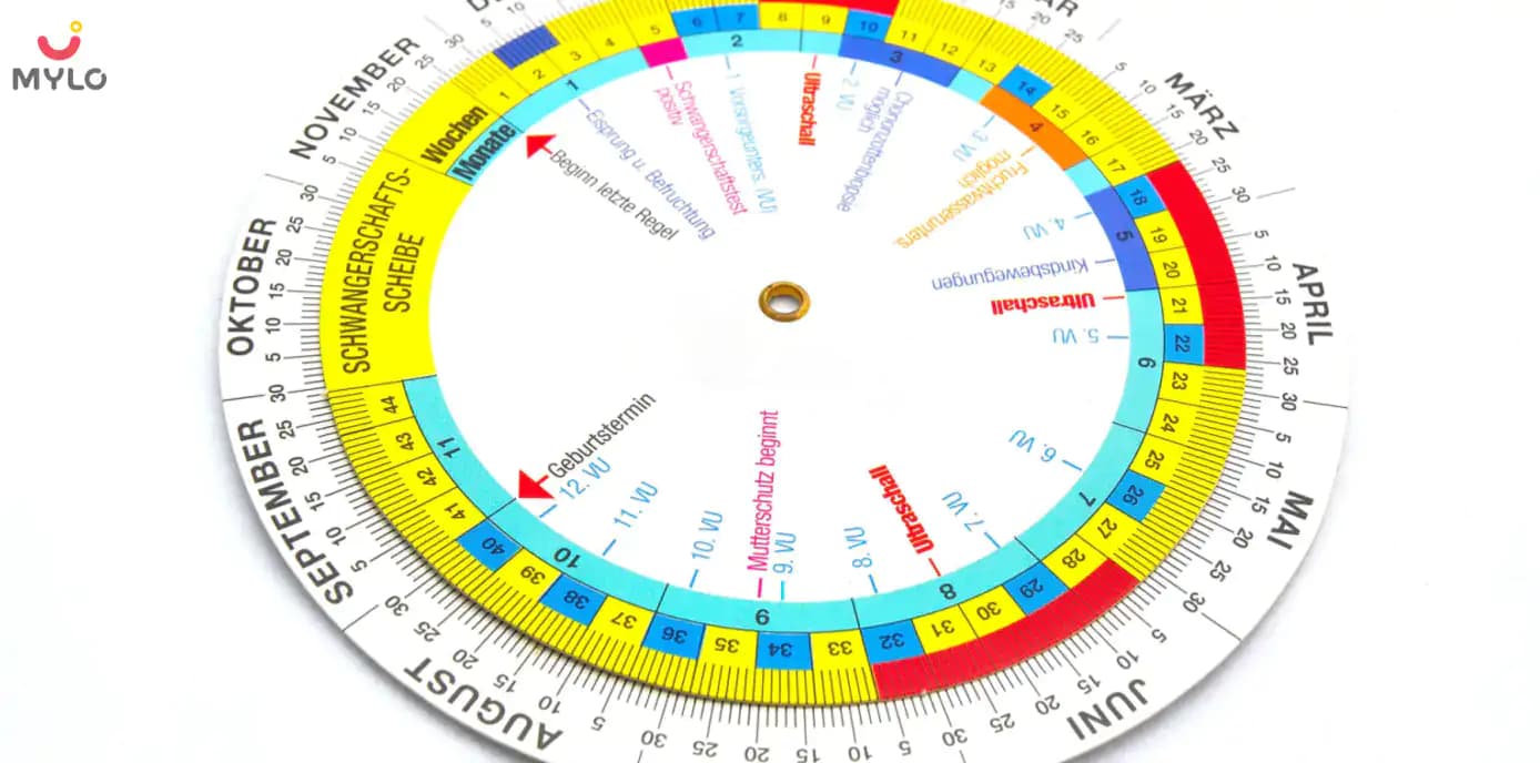 All You Need To Know About Pregnancy Due date Calculator