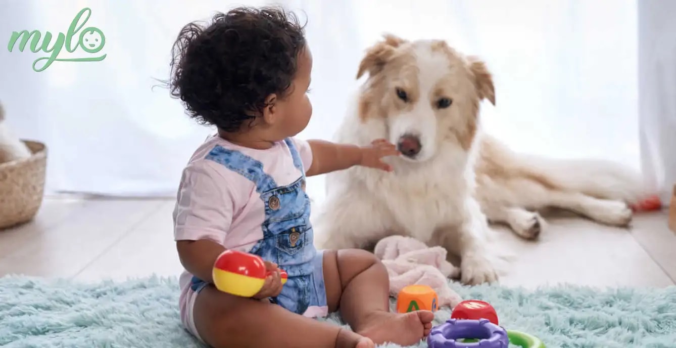 शिशु को पालतू जानवरों से होने वाली एलर्जी से कैसे करें बचाव ?