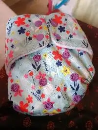 Adjustable Washable & Reusable Cloth Diaper With Dry Feel, Absorbent Insert Pad (3M-3Y) Prevents Rashes - Floral Spring - Pack of 1