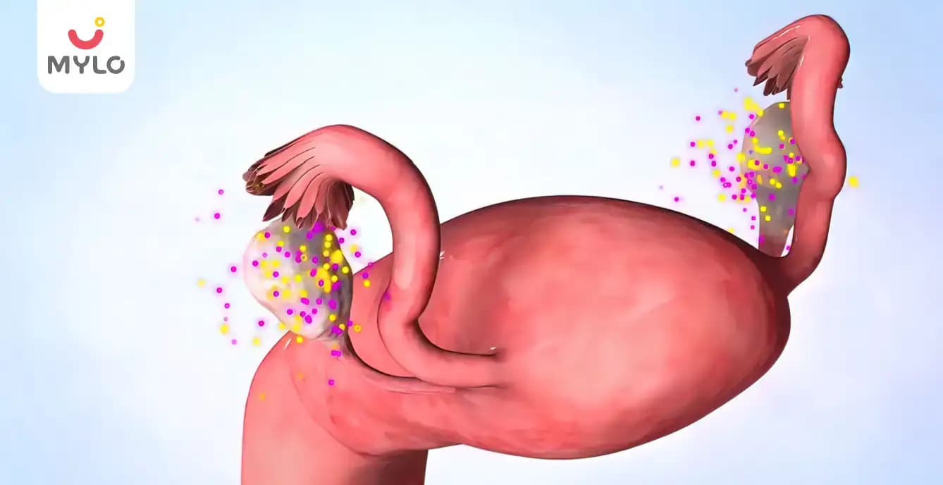 Corpus Luteum during Pregnancy: Functions, Formation, And Disorders