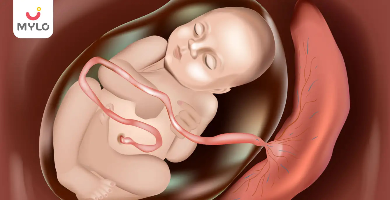  Placenta Anterior Meaning in Hindi | प्रेग्नेंसी में एंटीरियर प्लेसेंटा का क्या होता है माँ और बेबी पर असर?  
