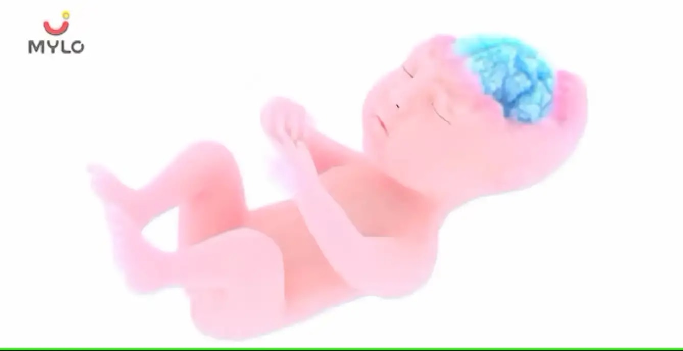 அனென்ஸ்பாலி (Anencephaly): காரணங்கள், அறிகுறிகள், ஆபத்து மற்றும் சிகிச்சை(Anencephaly: Causes, Symptoms, Risk & Treatment In Tamil)