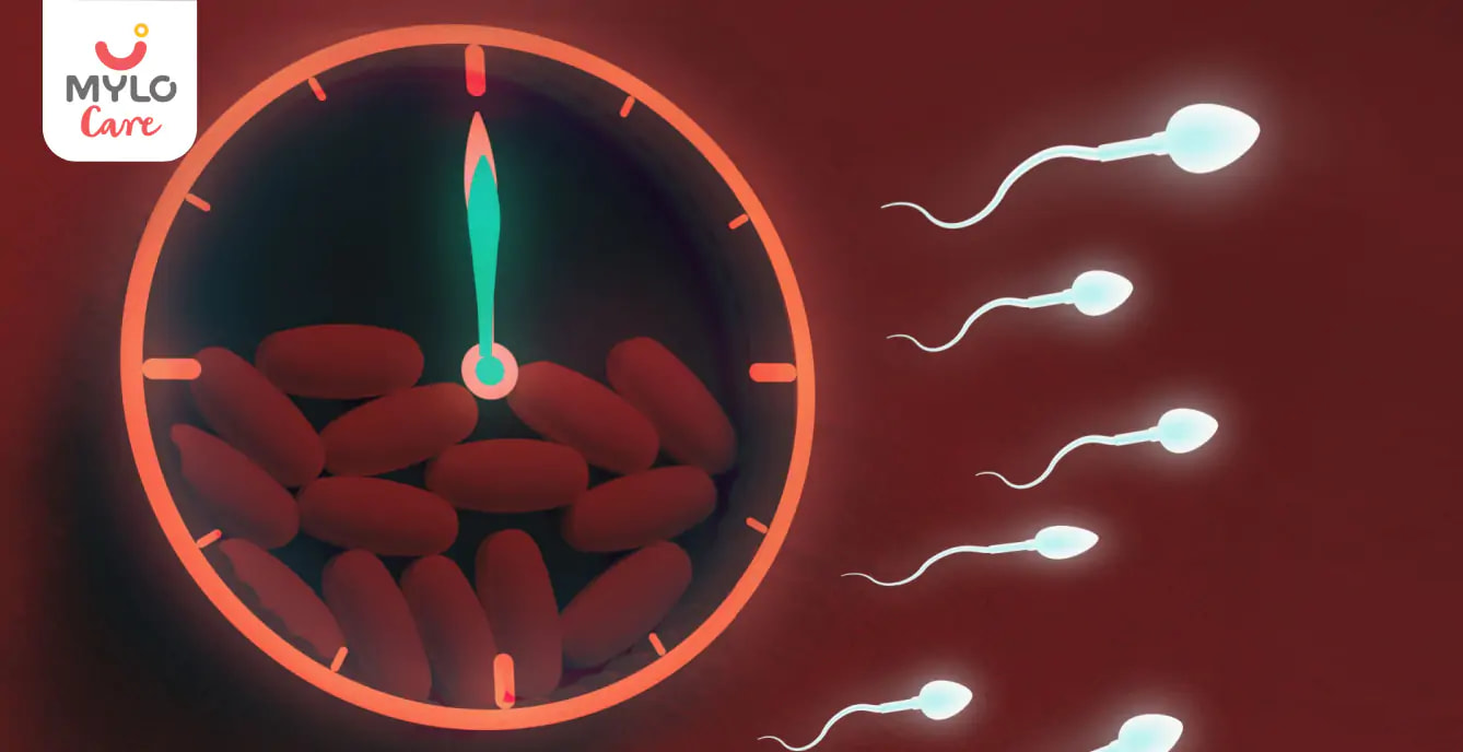 Sperm Motility and Male Fertility: What You Need to Know