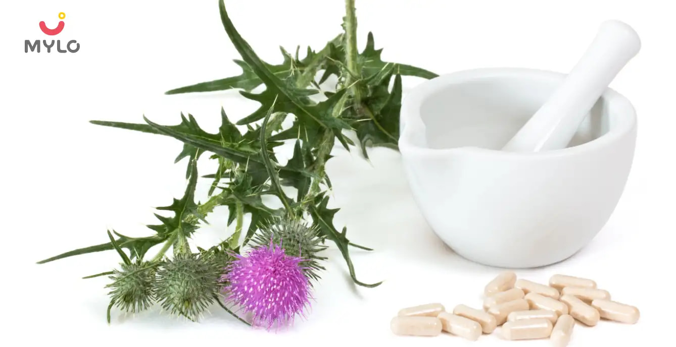 Milk Thistle in Ayurveda: Unlock The Healing Potential and Health Benefits of This Herb