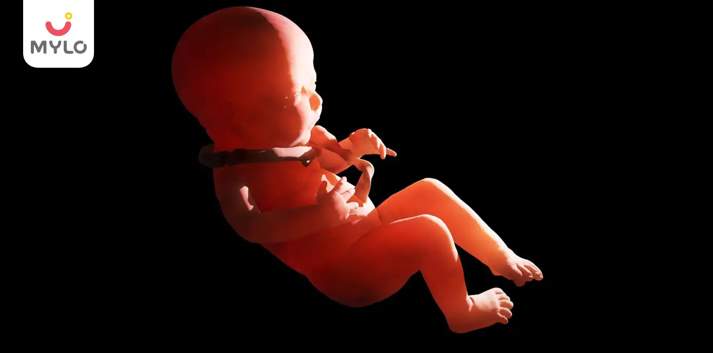 Placenta Anterior Meaning in Hindi | गर्भावस्था के दौरान एंटीरियर प्लेसेंटा 