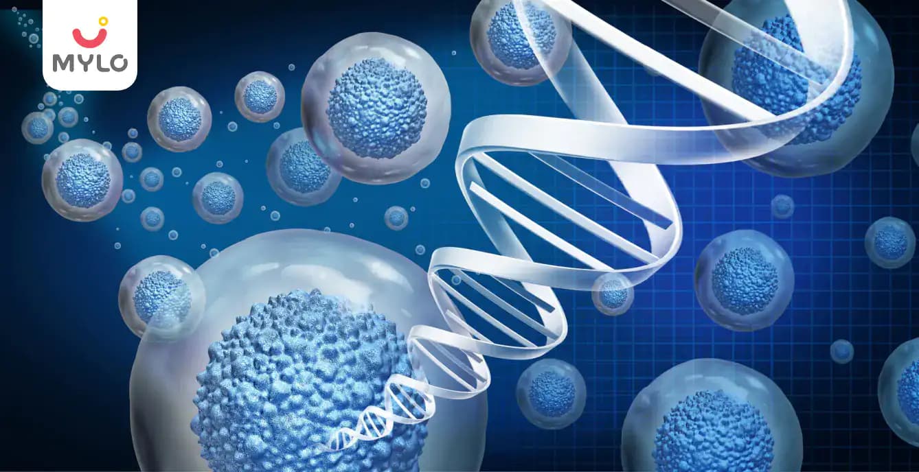 All About Stem Cells, Their Usage and Potential Effectiveness in the Treatment of Different Diseases